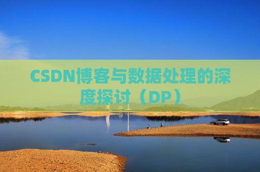 CSDN博客与数据处理的深度探讨（DP）